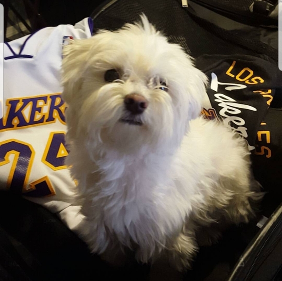 Meet your Posher, Lorena - Picture 3 of 3